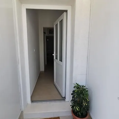 Zorka *